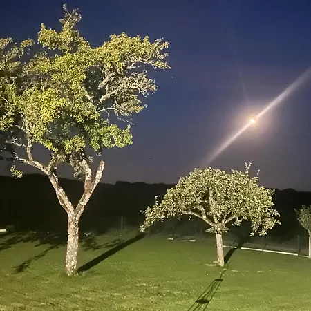 Les Mirabelliers Appartamento Morville