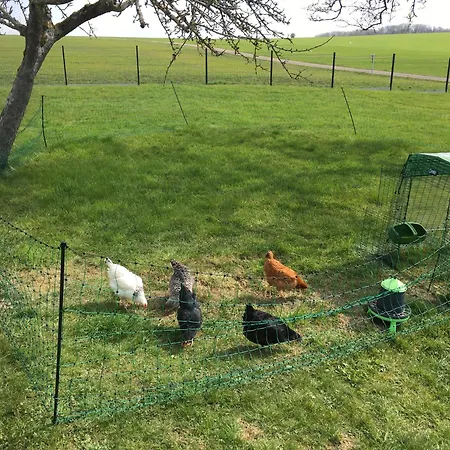 Les Mirabelliers Апартаменты