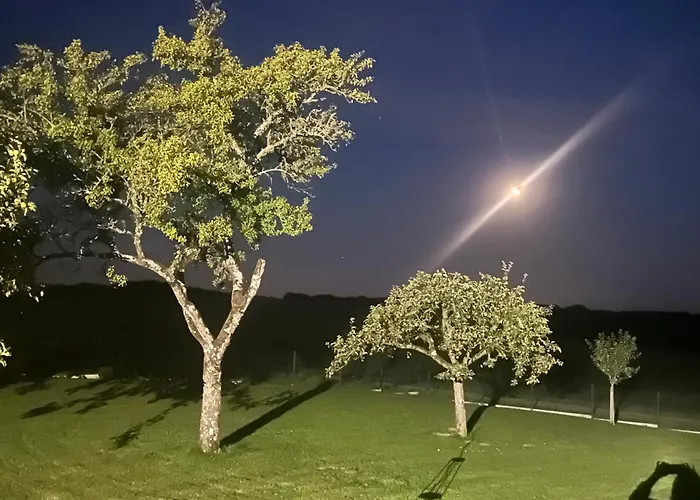 Les Mirabelliers Апартаменты Morville