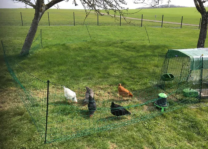 Les Mirabelliers Appartamento